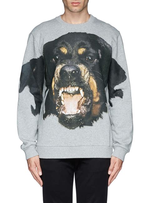 givenchy rottweiler hoodie fake|givenchy rottweiler print sweatshirt.